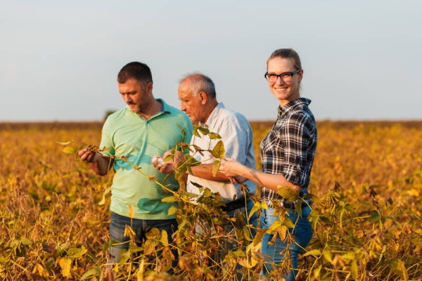 Organisations de producteurs dans le secteur des semences d'espèces végétales