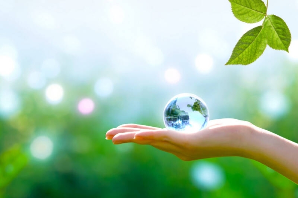 PLF 2024 : création d’un crédit d’impôt en faveur des investissements dans l’industrie verte (C3IV)